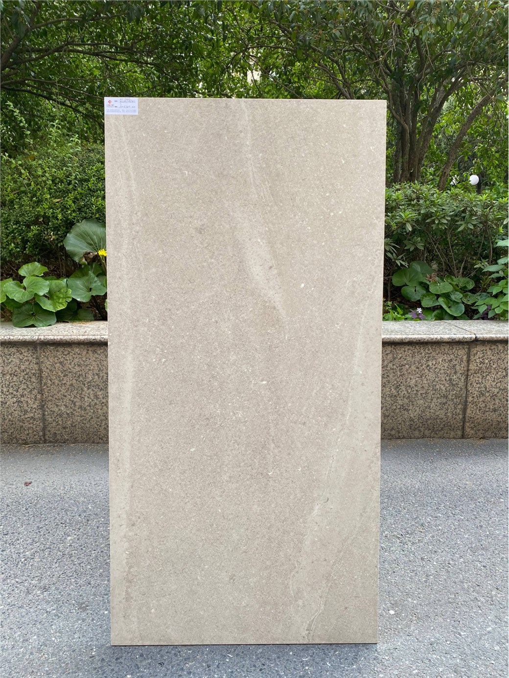 PW612Y961NL（XC-T0011)